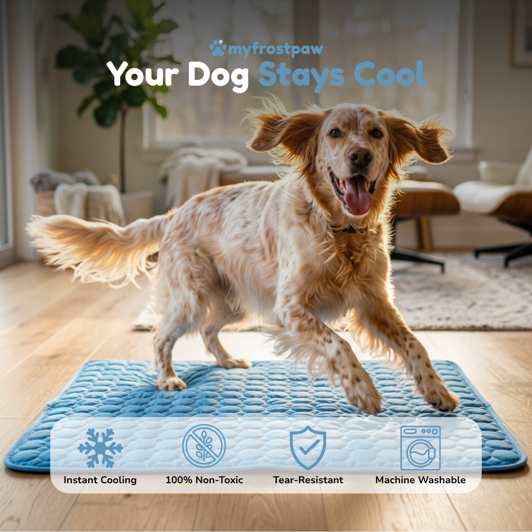 myfrostpaw™ – Hunde-Kühlmatte