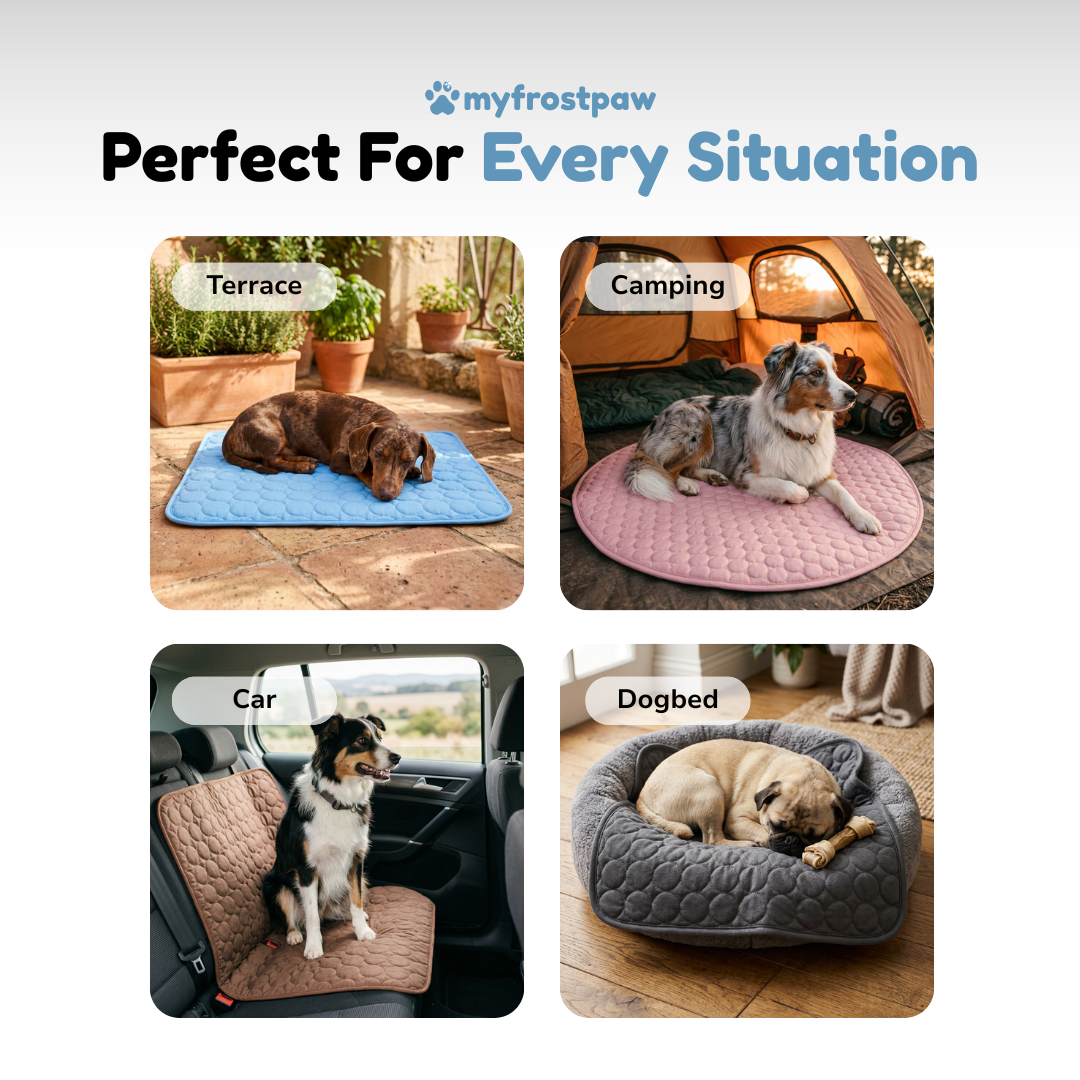 myfrostpaw™ – Hunde-Kühlmatte