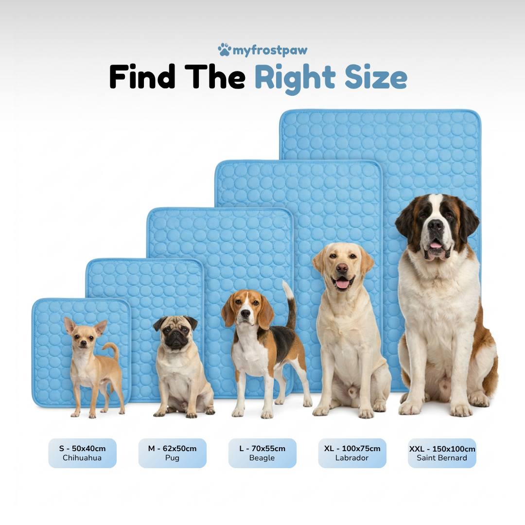 myfrostpaw™ – Hunde-Kühlmatte